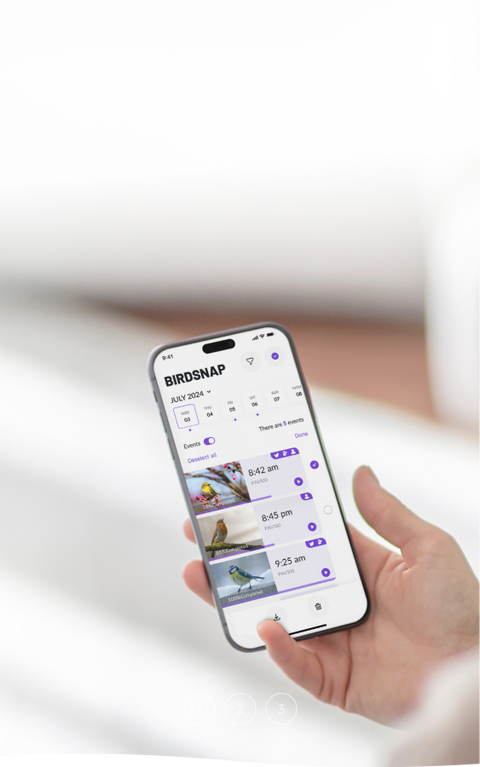 Bird Feeder with <br>
<span>Camera</span>