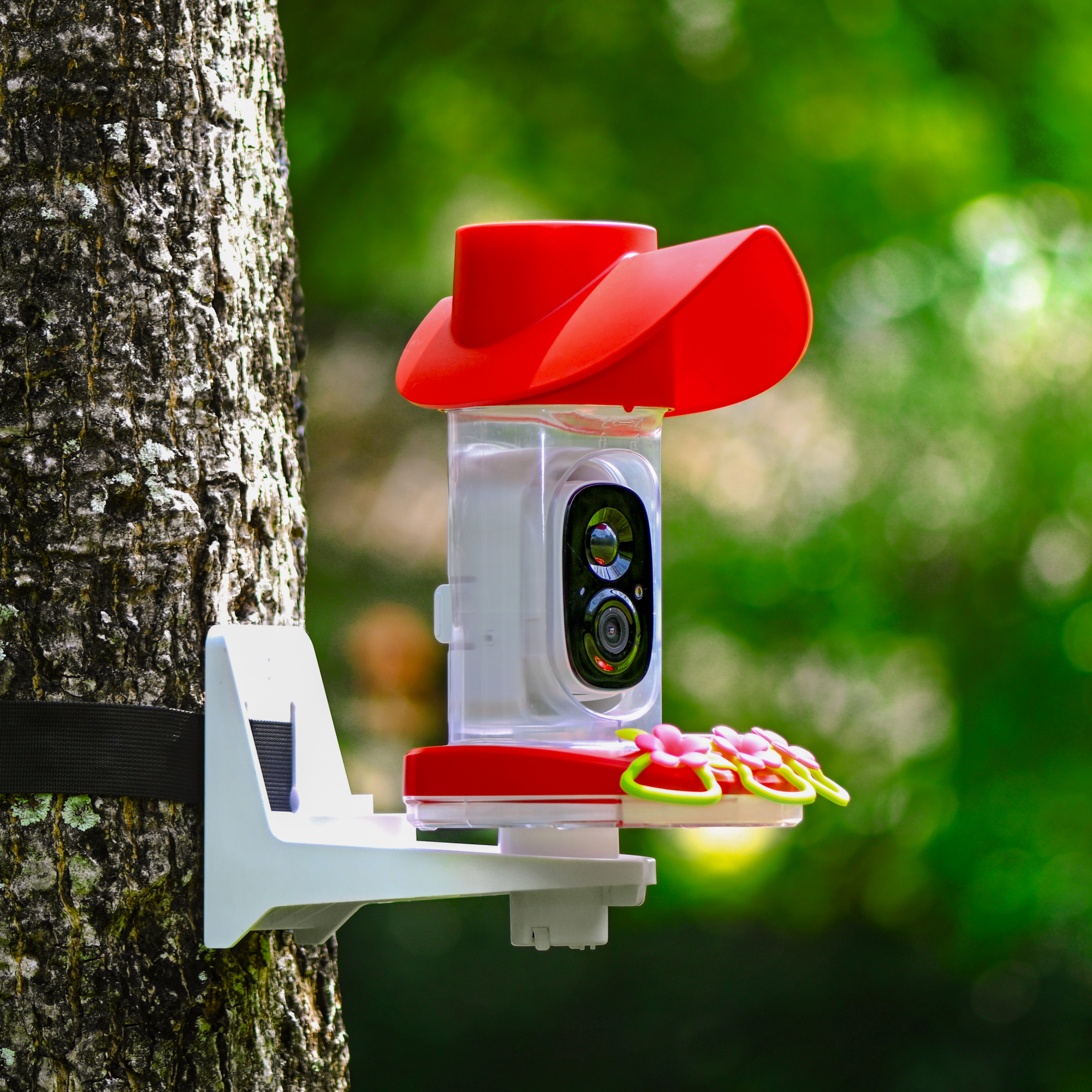 birdsnap hummingbird feeder with camera