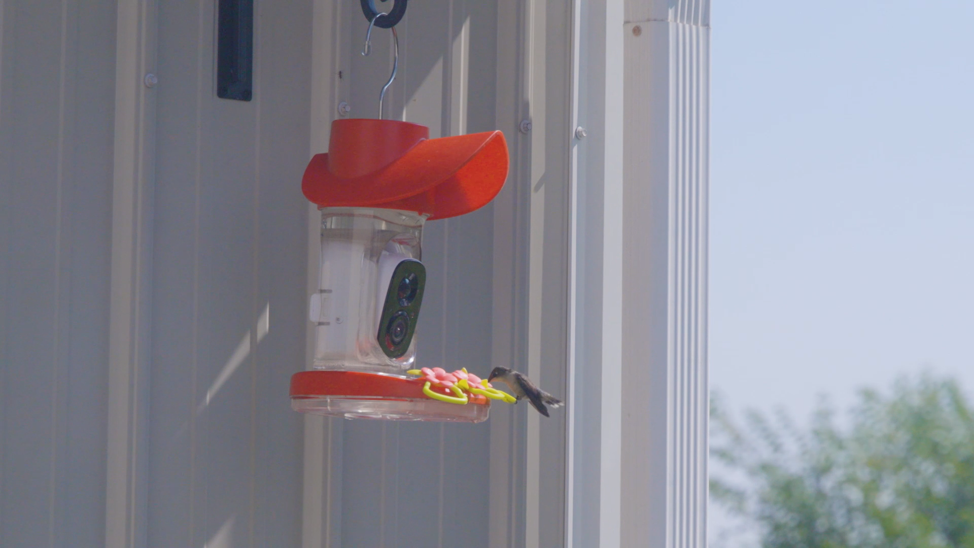 Best Smart Hummingbird Feeders Compared: BirdSnap vs Bird Buddy vs Birdfy vs Perky-Pet (2026)