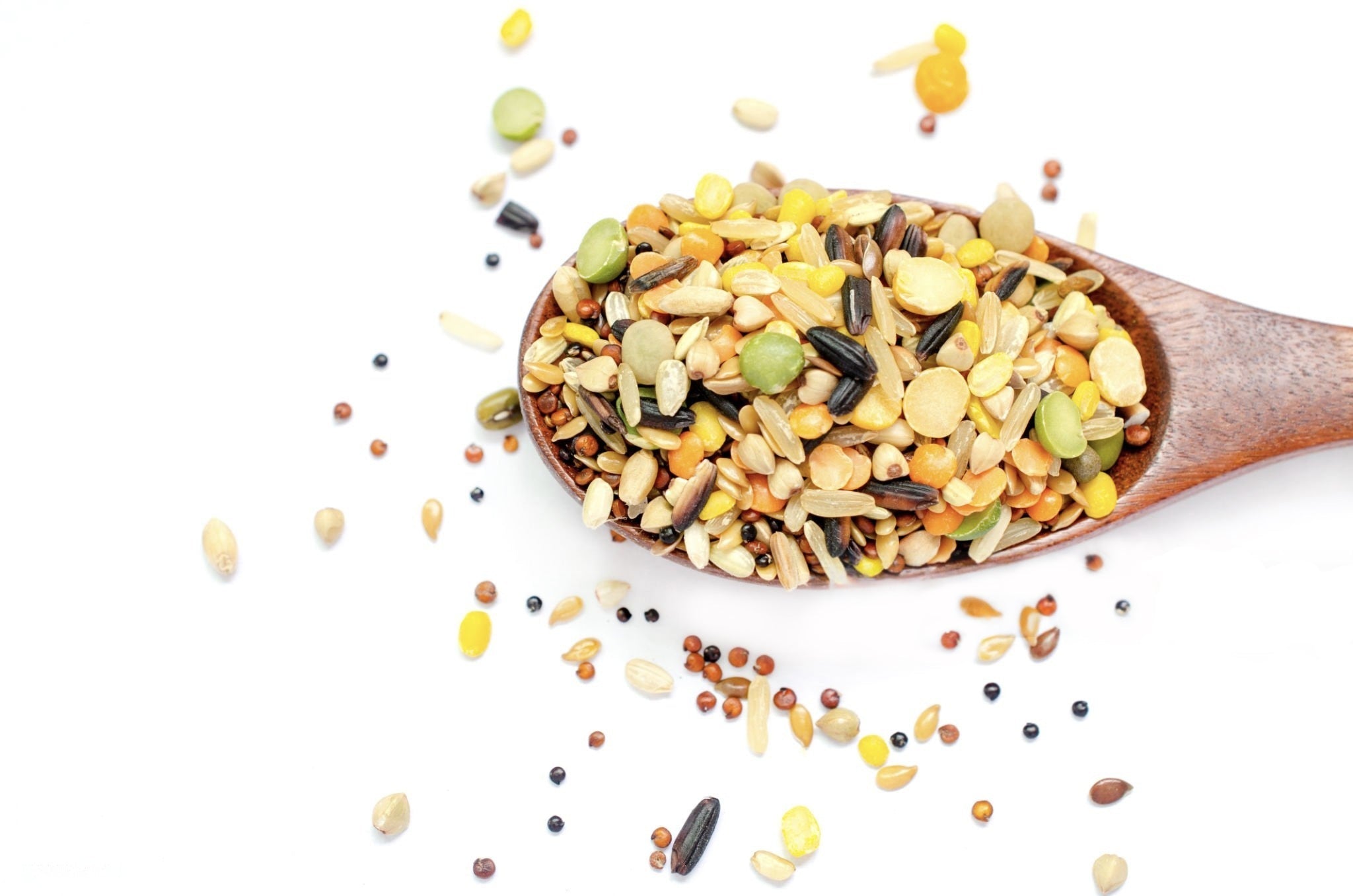 What Kind of Seed Attracts Birds Most? Backyard Bird Feeding Guide