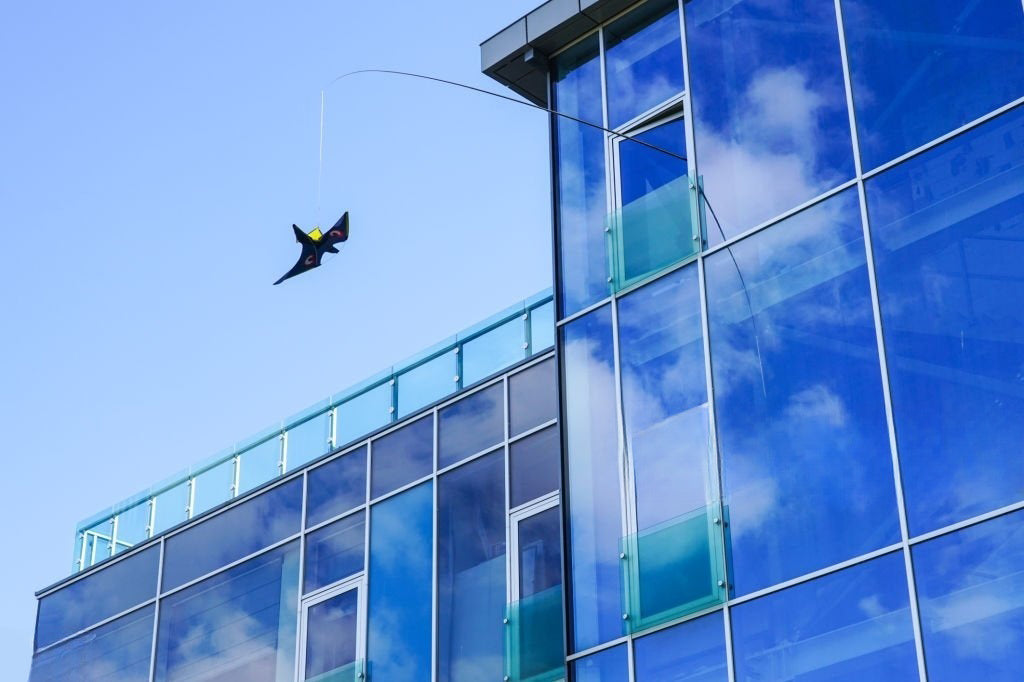 Saudi Arabia Desert Skyscraper Bird Migration: How “The Line” Threatens Migratory Birds
