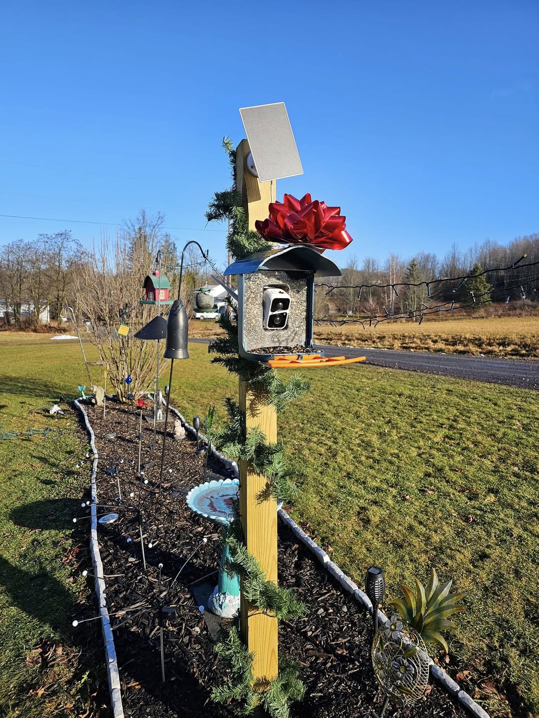 What do I need to start bird watching