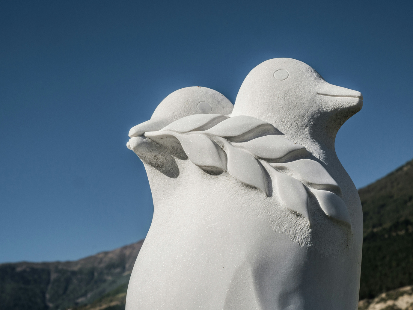 Homing Pigeons: Messengers Across War and Peace
