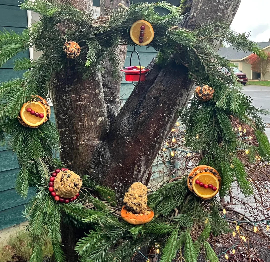 Can I share my Christmas with the birds?