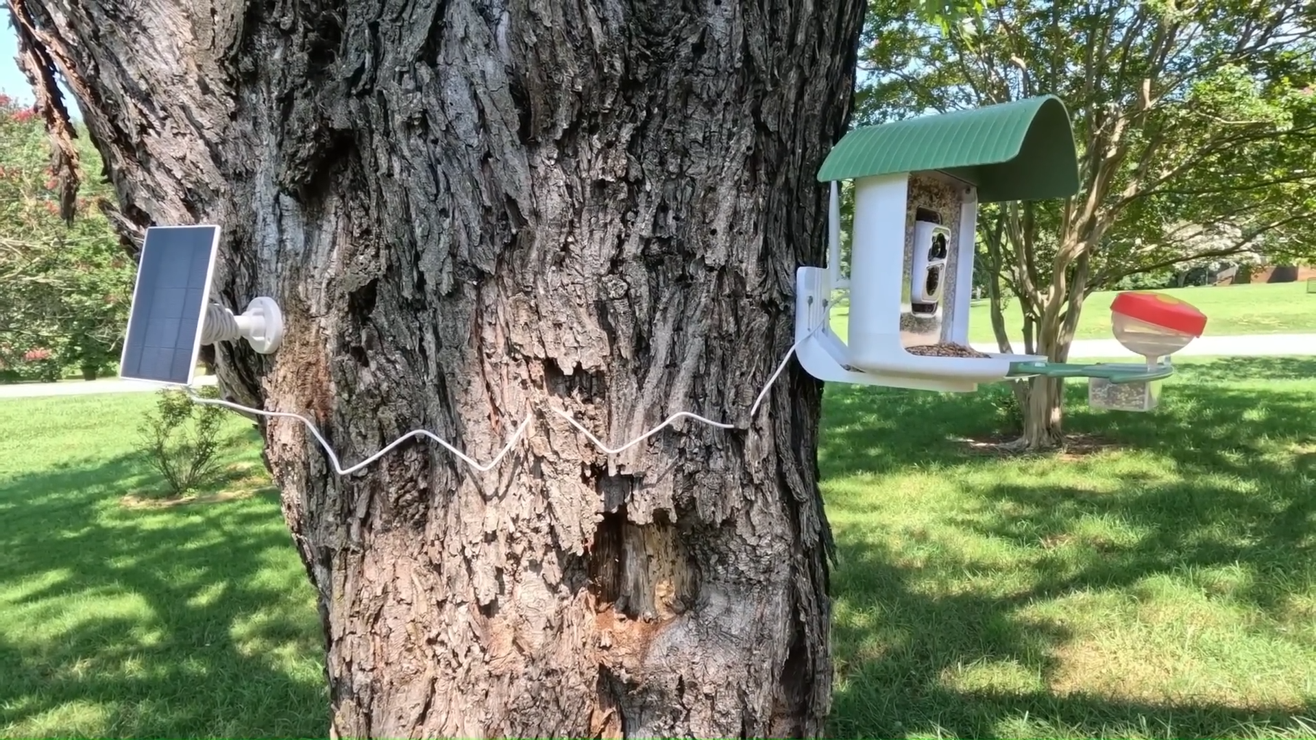 Best Smart Bird Feeders Compared: BirdSnap vs Bird Buddy vs Kiwibit vs Netvue Birdfy (2026)
