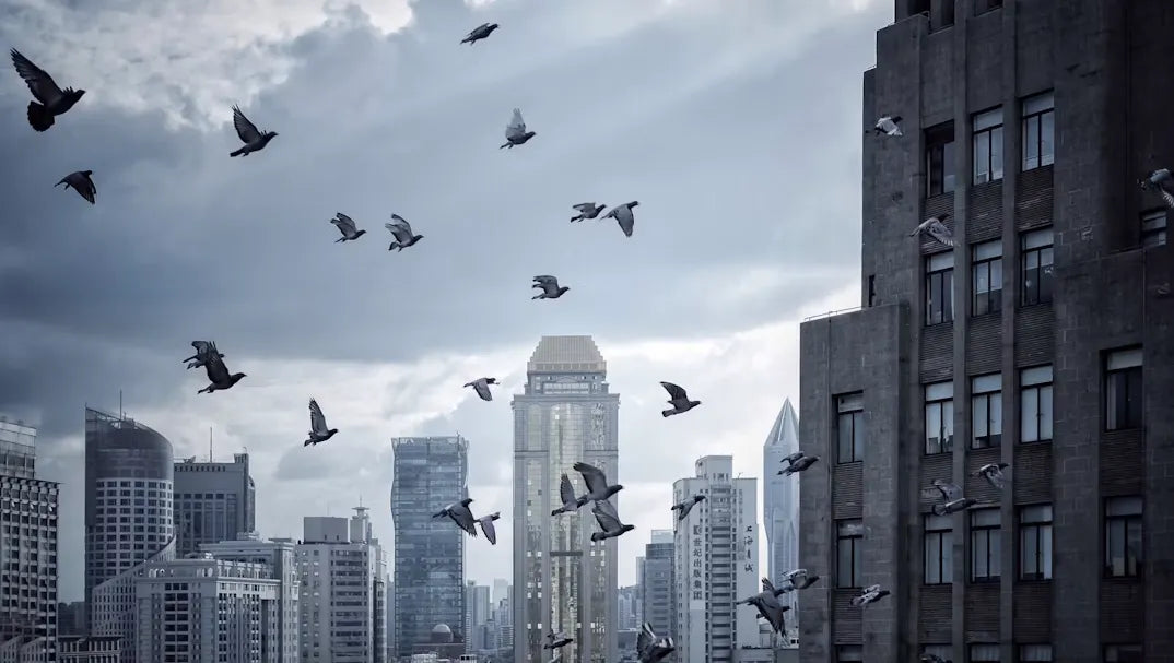 How Do Smart Bird Feeders Attract Migratory Birds? A Complete Guide For 2026 Fall Migration