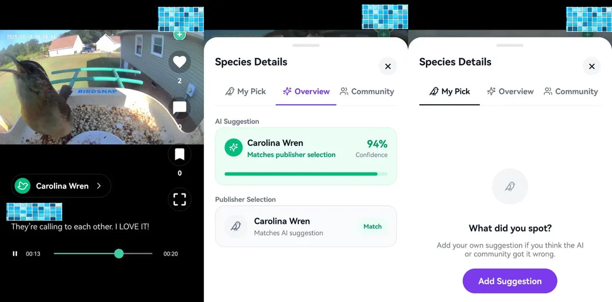 How to Choose a Smart Bird Feeder: BirdSnap AI Bird Identification Is Now Free with No Subscription