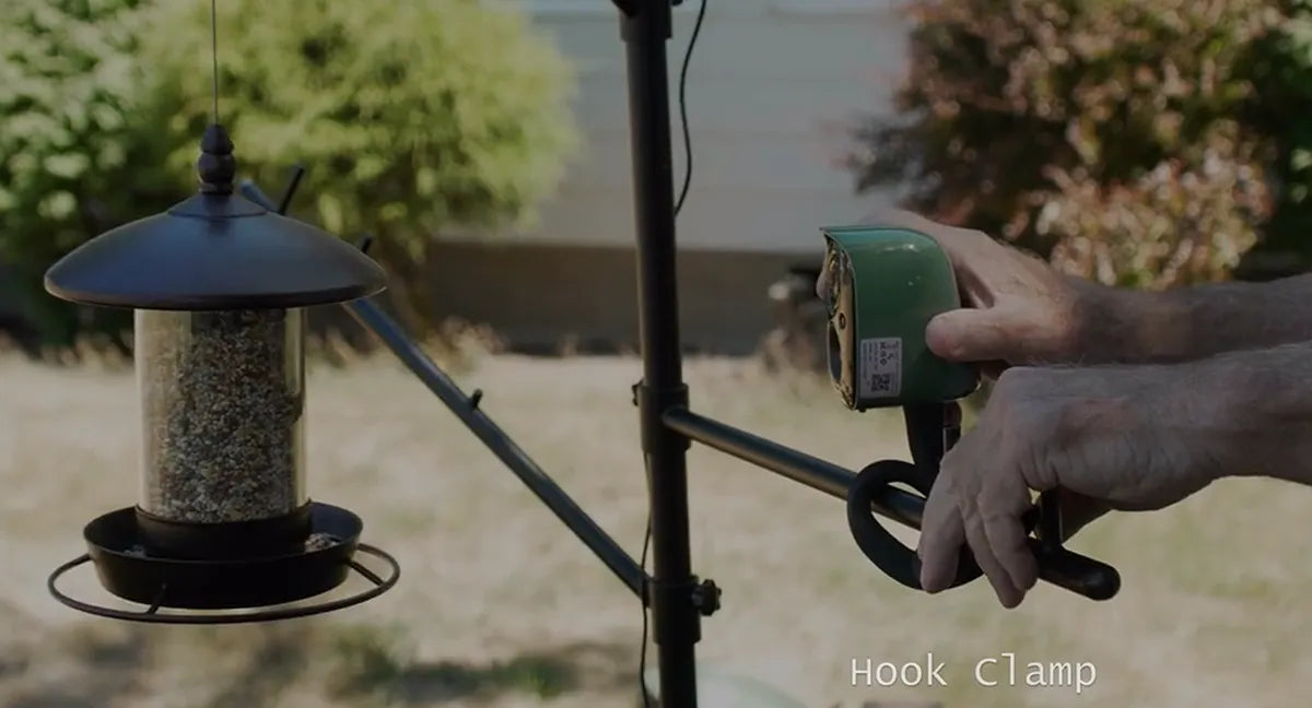 Birdsnap Standalone Cam 1: The Eco-Friendly Backyard Wildlife Camera Experience