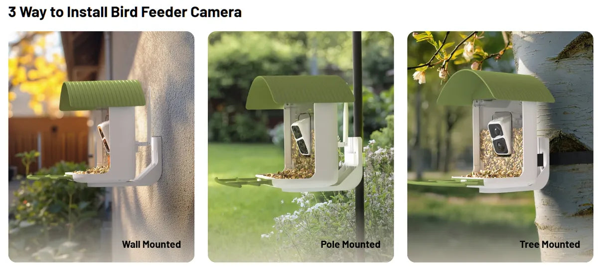 How to Feed Suet During Fall Migration | BirdSnap