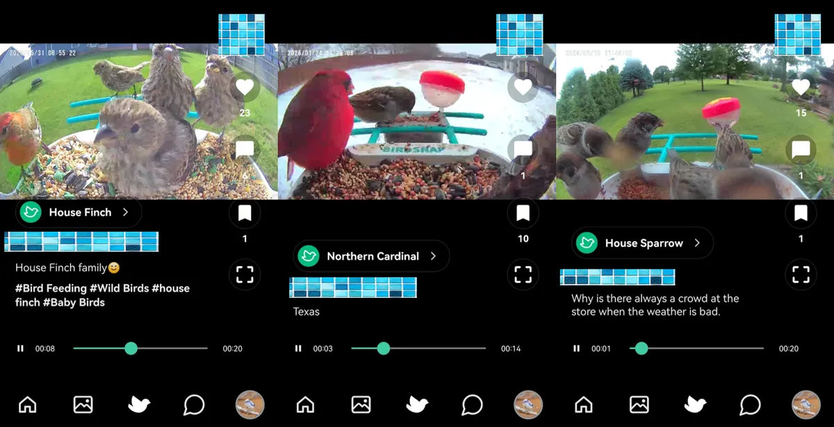 BirdSnap Smart Feeder and Citizen Science: the Value of Continuous Recording