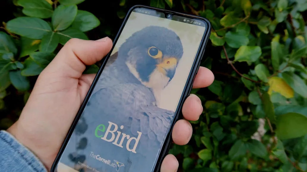 Why Are Millions of Young People Suddenly Fall in Love with Birdwatching?