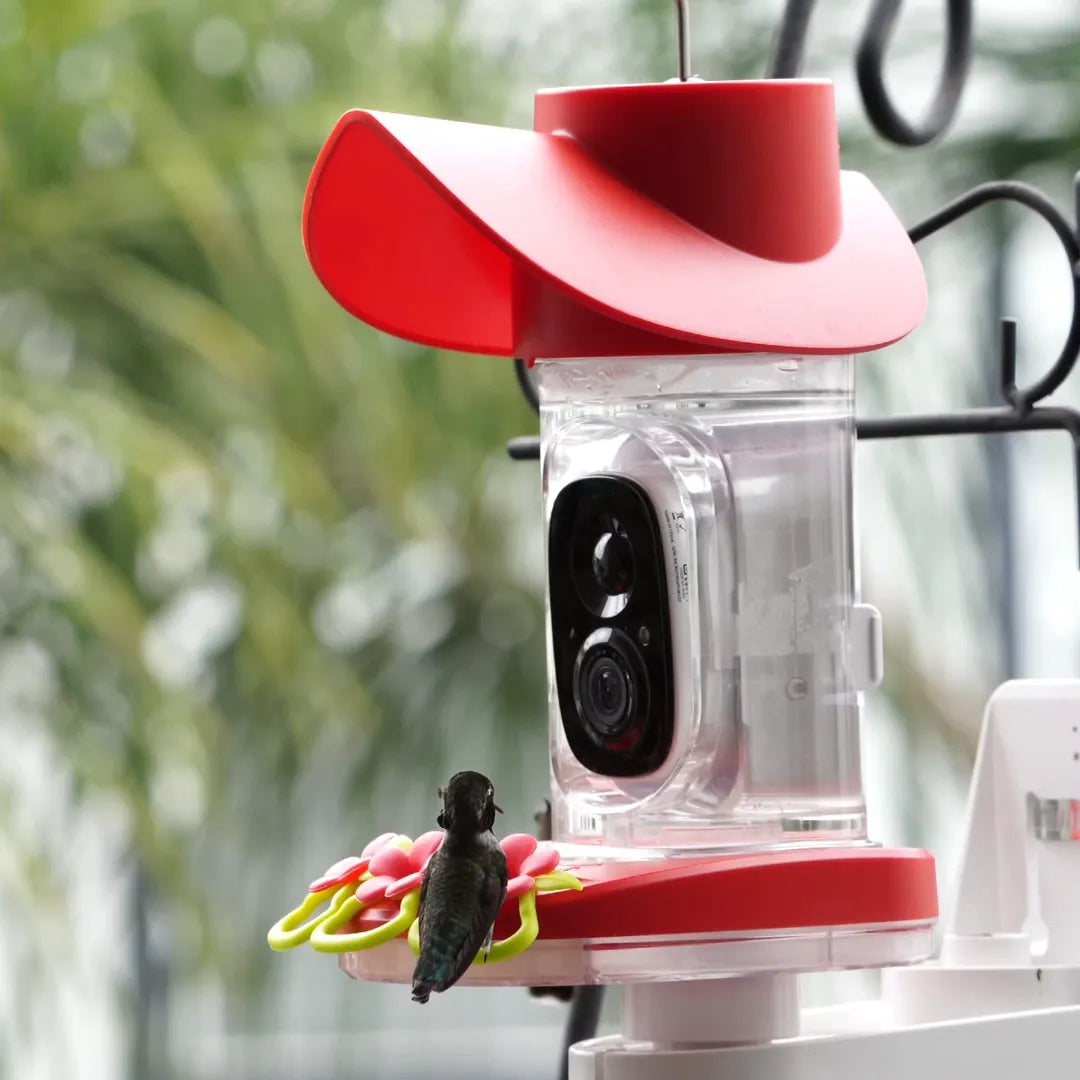 Hummingbird Feeder with Camera Review 2026: Smart Picks for Backyard Birders