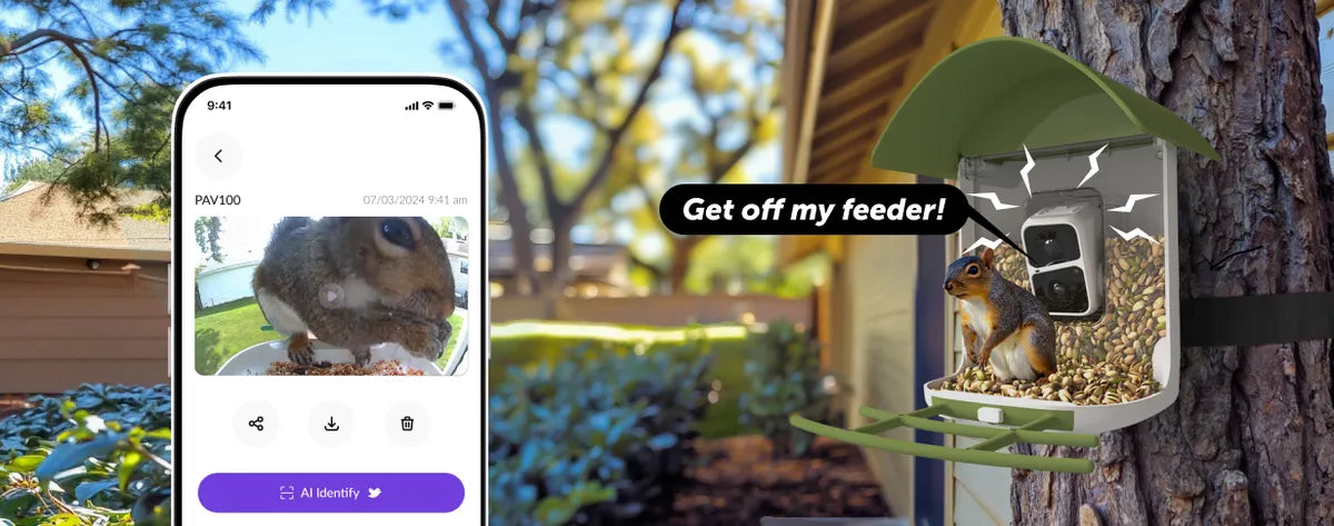 The Ultimate Guide to Squirrel-Proofing Your Bird Feeder