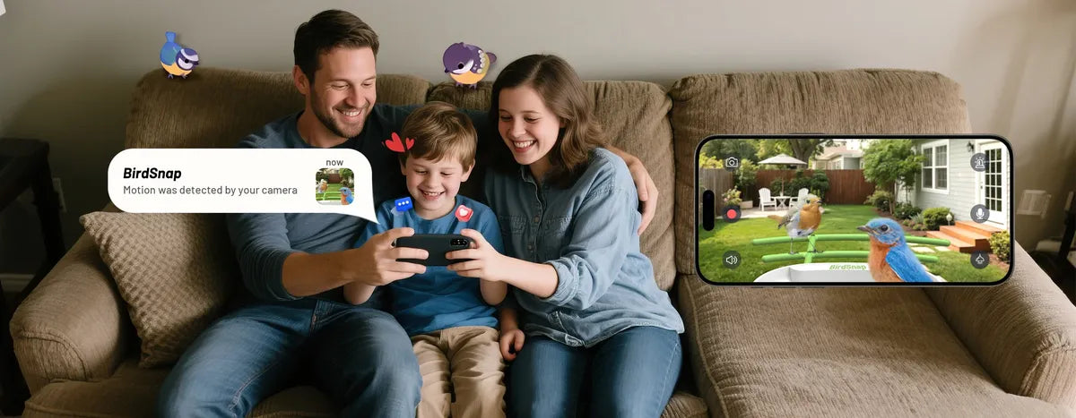 What Feels Like to Own a Smart Bird Feeder: Complete Backyard Bird Watching Experience