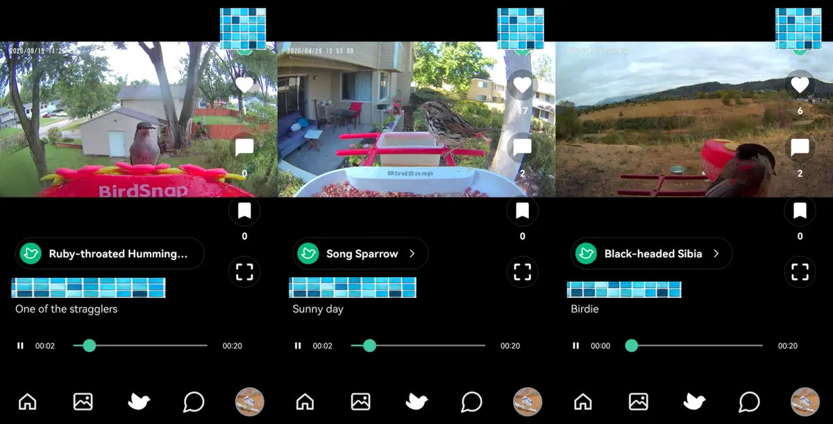 AI Bird Identification Without a Subscription: Birdsnap Smart Bird Feeder Helps You Identify 10,000+ Bird Species During Fall Migration