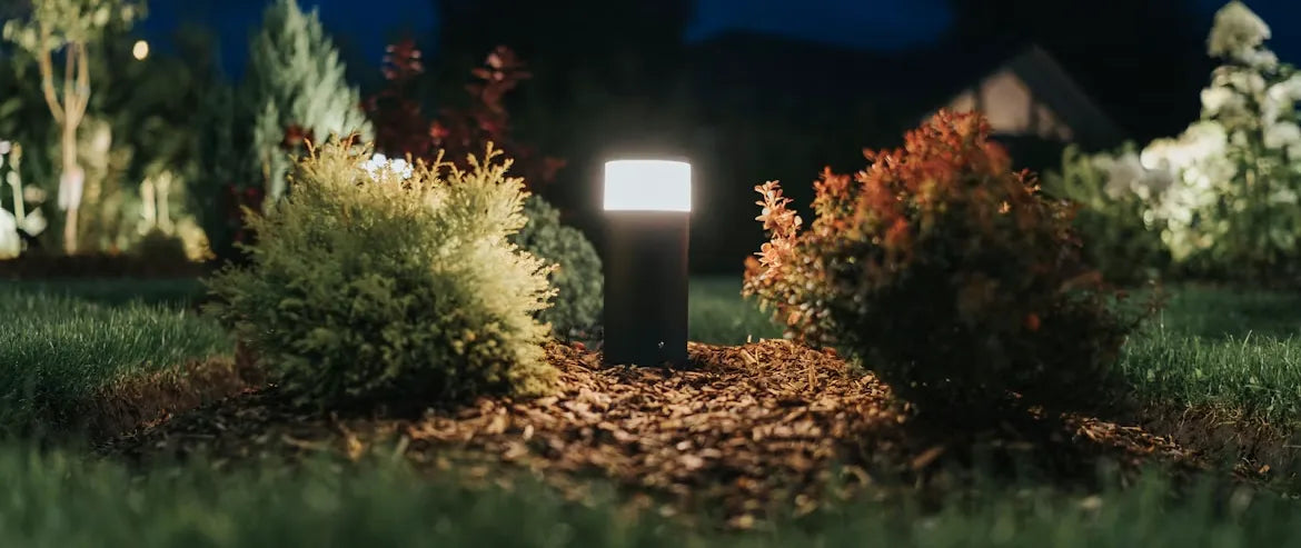Lights Out for Birds: How to Reduce Nighttime Window Collisions During Fall Migration