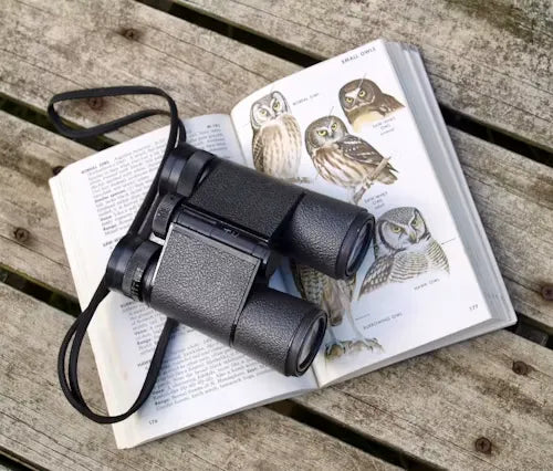 How Birdwatching Reshapes Your Brain: Neuroscience Research Reveals Birdwatching Can Slow Brain Aging
