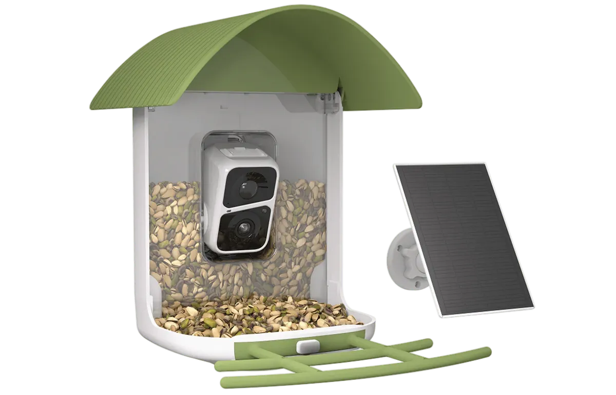 Start Backyard Birding This Summer With Your Brand New Smart Bird Feeder