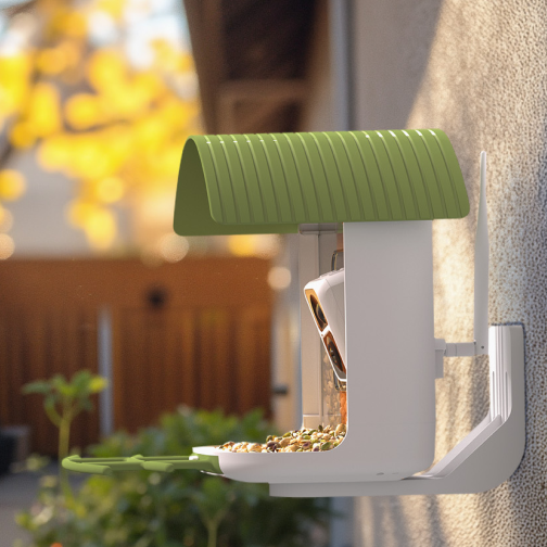 birdsnap bird feeder with camera