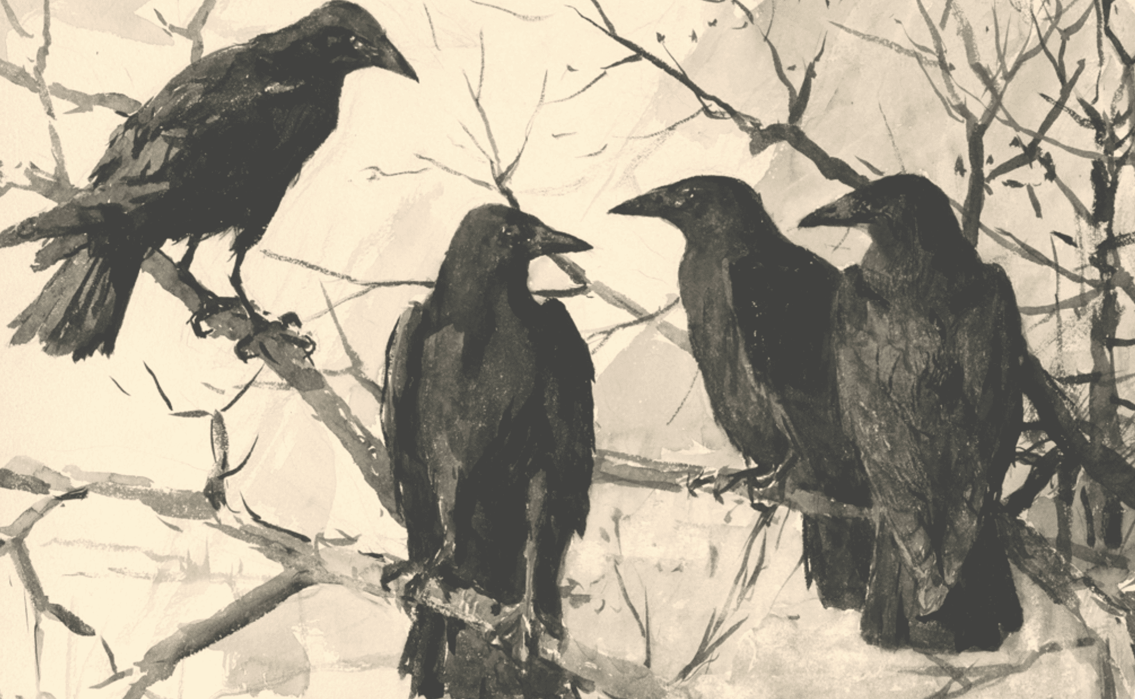 Are Crows Just Noisy, or Something More?