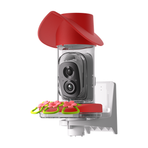 Smart Hummingbird Feeder