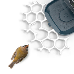 Perch for Bird Feeder Camera