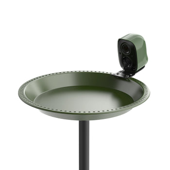 BirdSnap Bird Bath(not included camera)