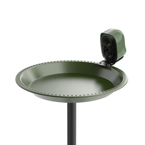 BirdSnap Bird Bath(not included camera)