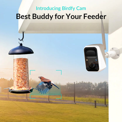 Birdsnap Bird Camera With Motion Detection