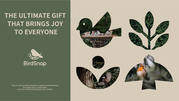 Cloud Storage Membership Card