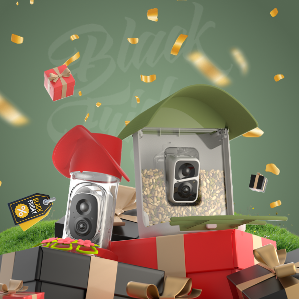 BirdSnap Holiday Bundle