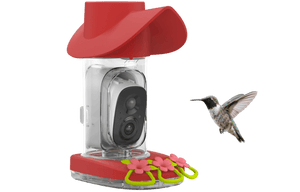 Smart Hummingbird Feeder