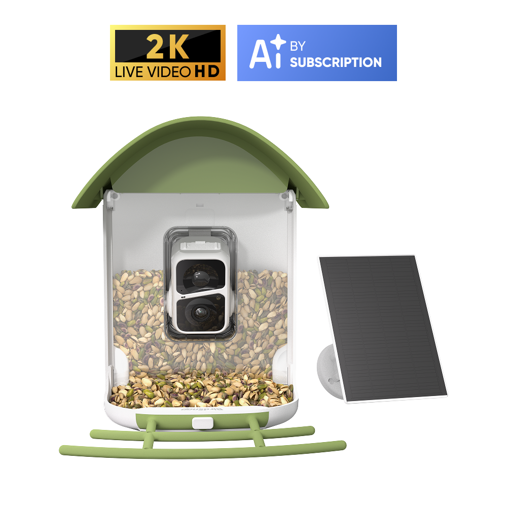 BirdSnap Smart Bird Feeder with Camera