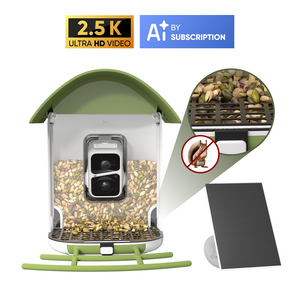 BirdSnap Smart Bird Feeder with Camera