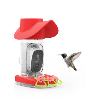 Smart Solar Hummingbird Feeder with HD Camera