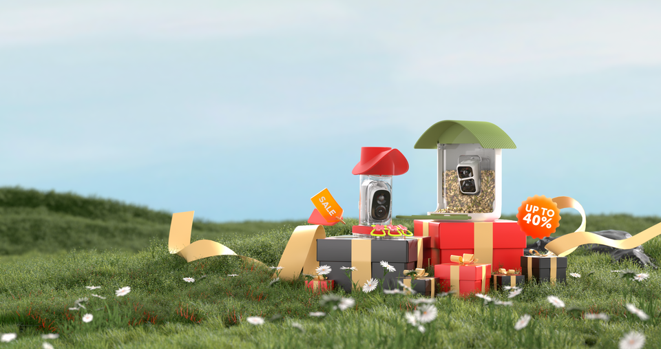 BEST OFFERS OF THE YEAR