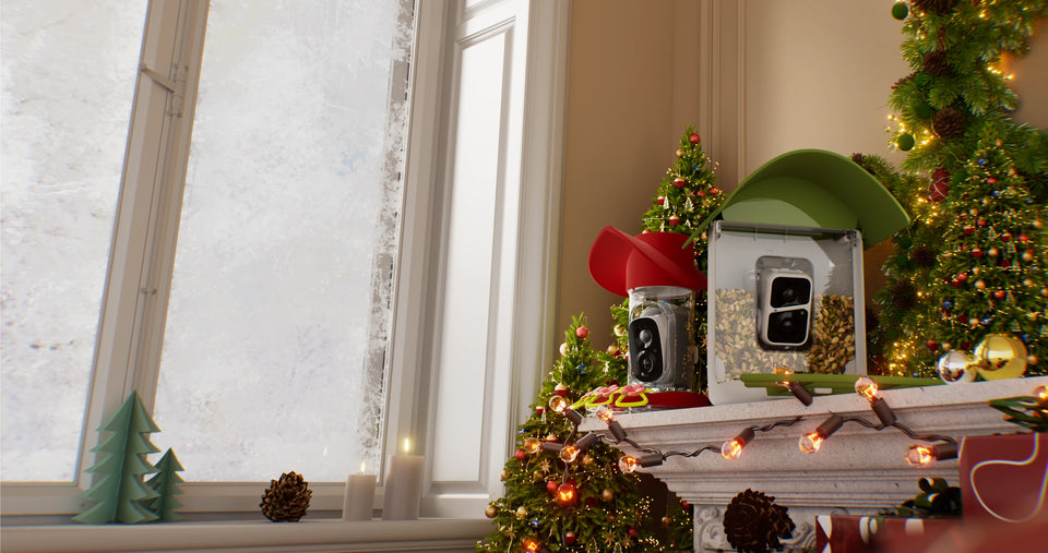 BEST OFFERS OF THE YEAR