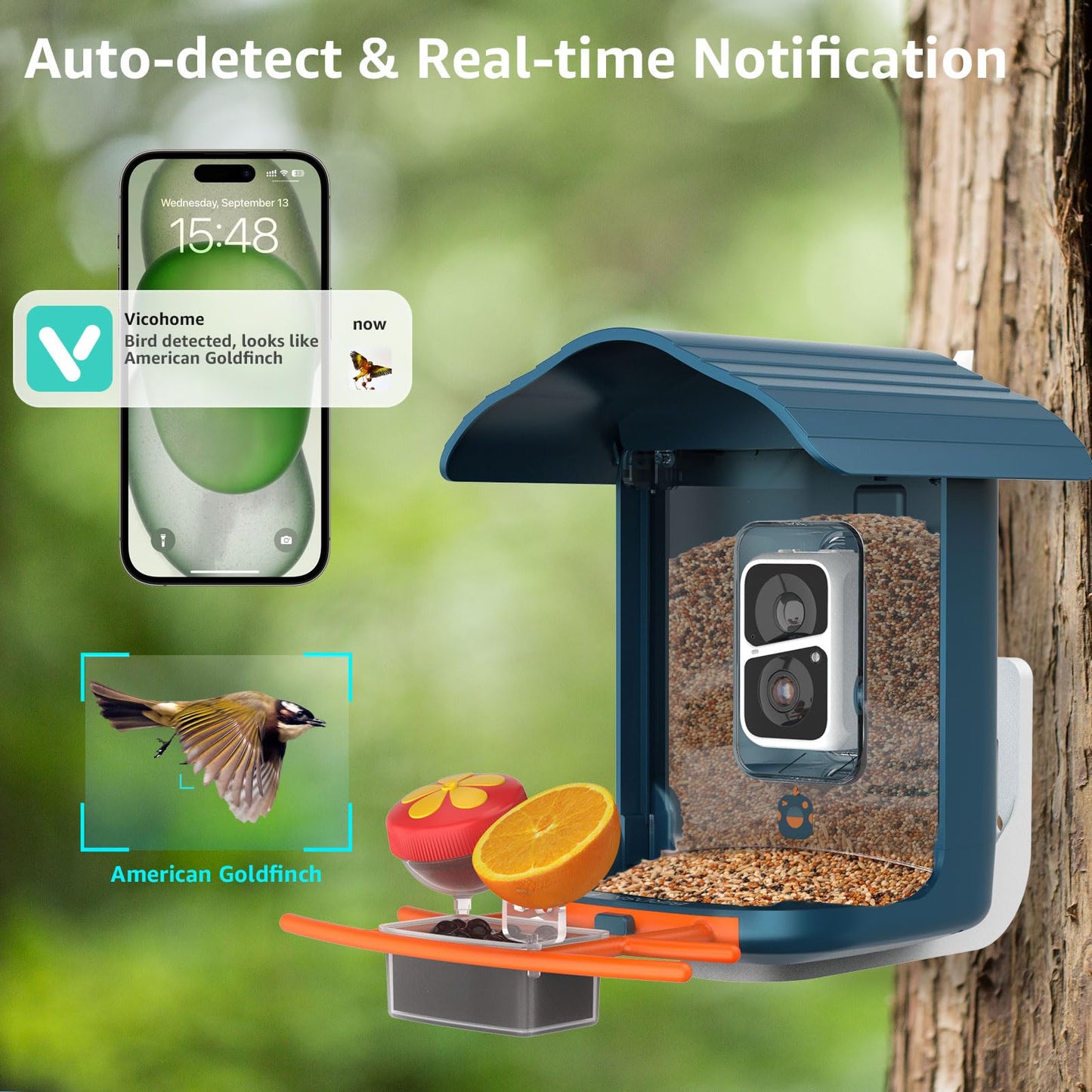 Birdsnap PAV100 Bird Feeder With Camera