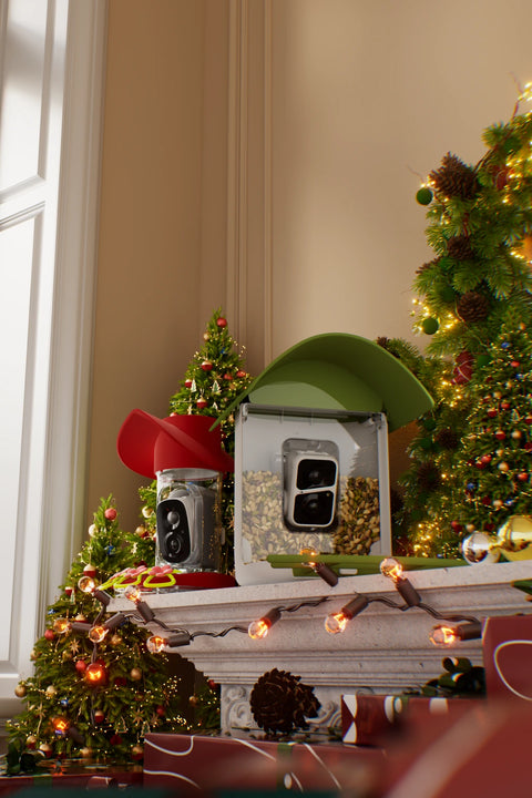 BEST OFFERS OF THE YEAR