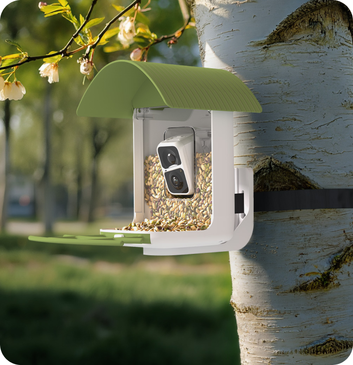 Smart Bird Feeder