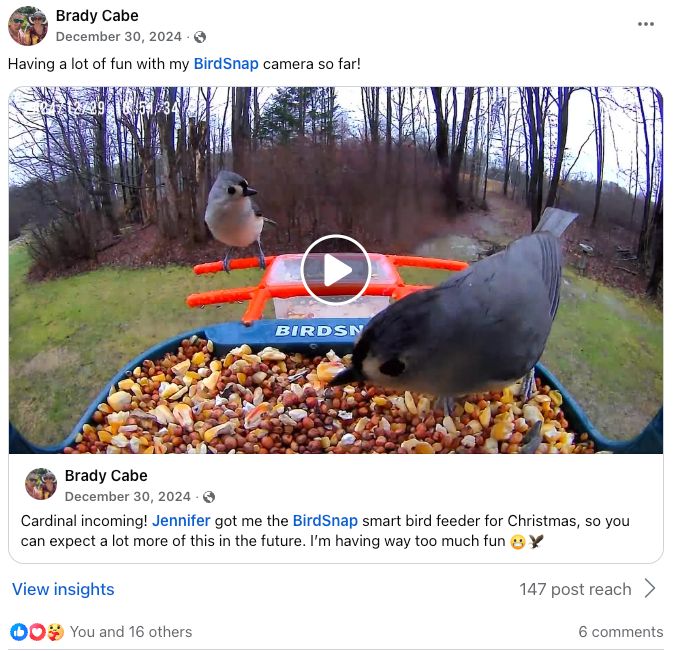 BirdSnap 
