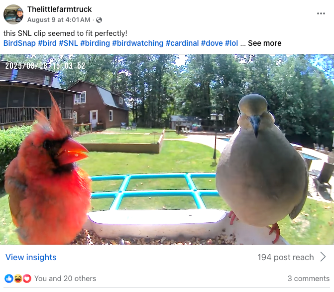 BirdSnap 